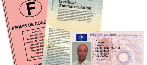 Cartes grises & Permis de conduire