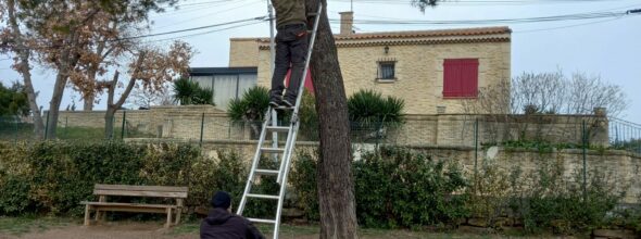 LA MAIRIE INSTALLE DES NICHOIRS