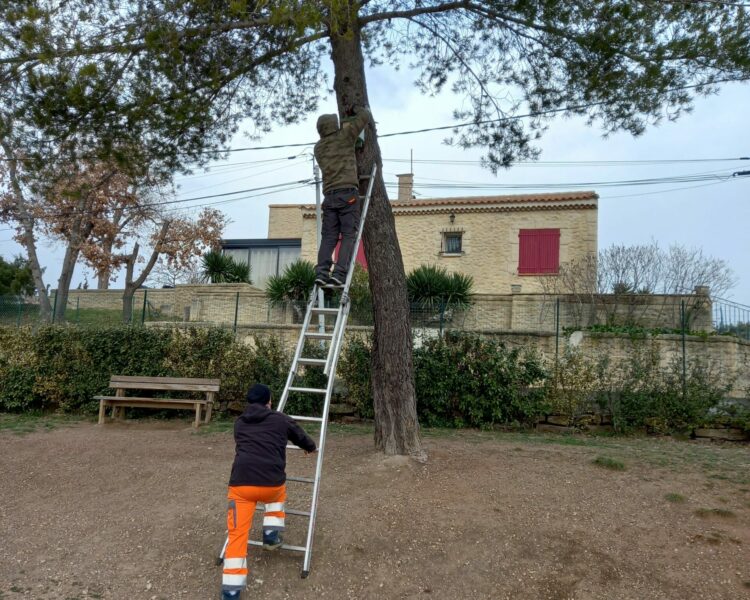 Mairie Saint-Savournin nichoirs installés mars 2023 jardin enfants