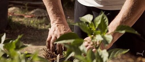 APPEL AUX PRODUCTEURS