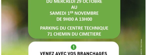 OPERATION BROYAGE DE VEGETAUX