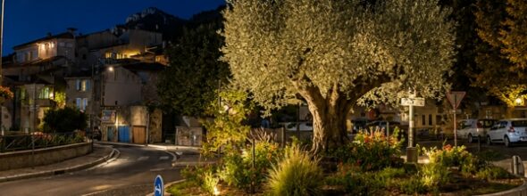 Premier Marché Nocturne 29 aout 2026